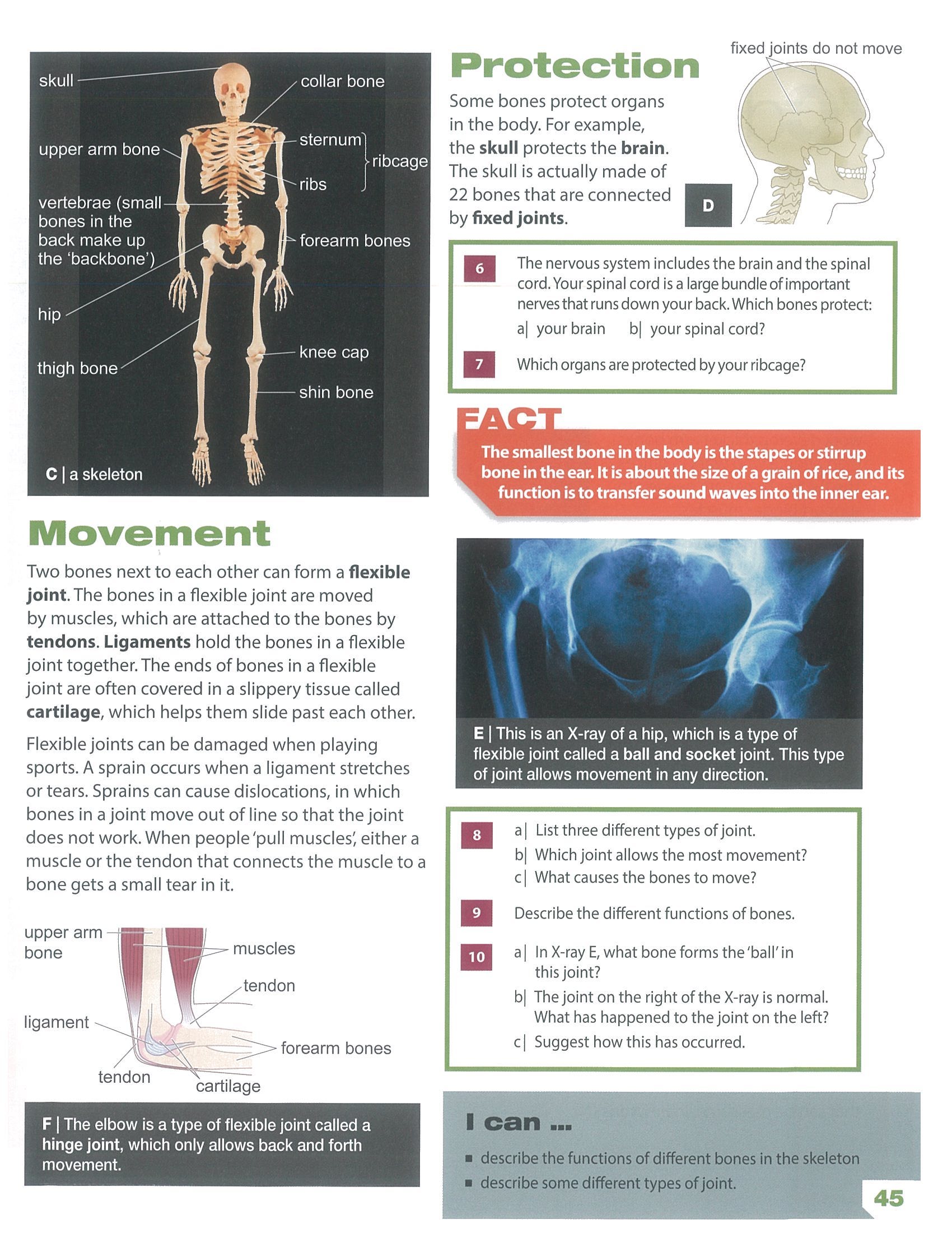 page 45